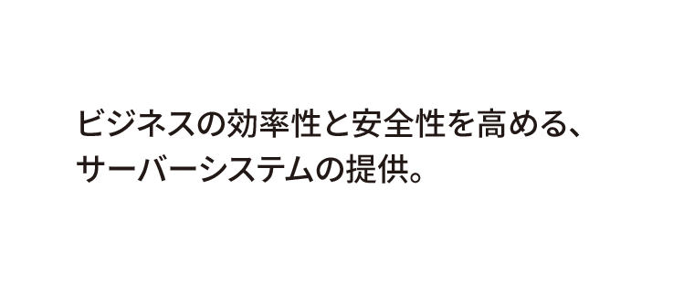 ビジネスの効率性と安全性を高める、サーバーシステムの提供。